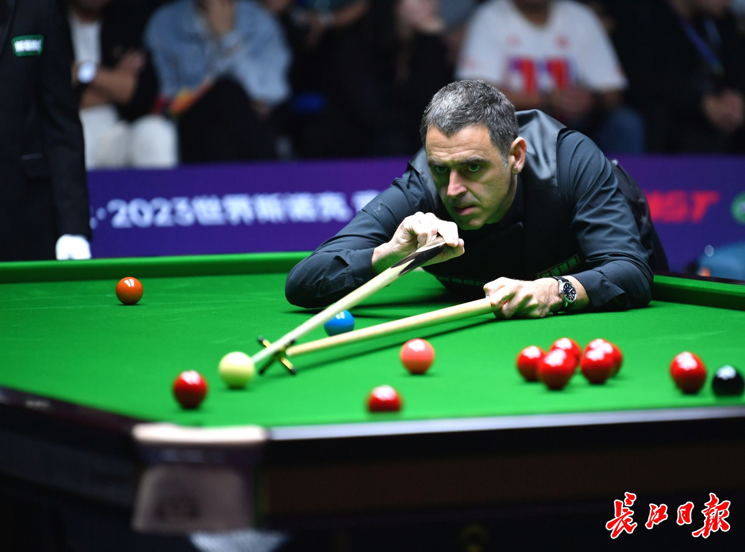 无疑是他未 无疑是他未